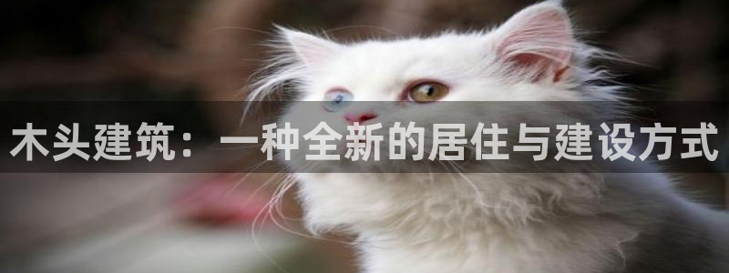 先锋娱乐垫付金额