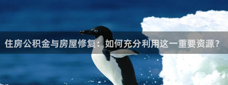 先锋娱乐资讯官网入口