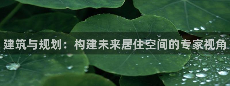 先锋娱乐简介图片
