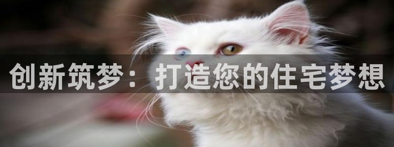 先锋娱乐网