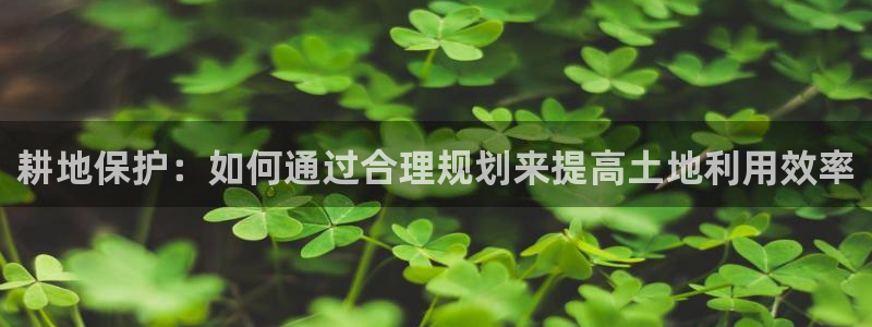 先锋娱乐客服：耕地保护：如何通过合理规划来提高土地利用效率