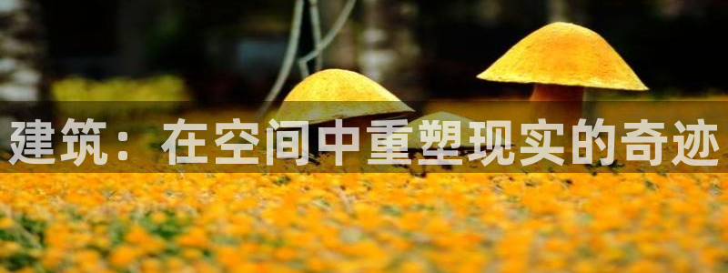先锋娱乐赛：建筑：在空间中重塑现实的奇迹