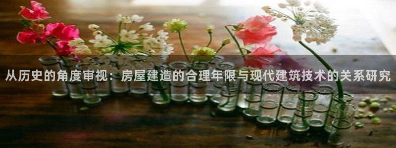 先锋娱乐系统：从历史的角度审视：房屋建造的合理年限与现代建筑技术的关系研究