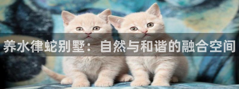 先锋娱乐中国：养水律蛇别墅：自然与和谐的融合空间