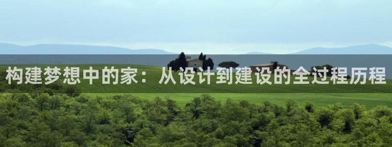 先锋娱乐软件：构建梦想中的家：从设计到建设的全过程历程