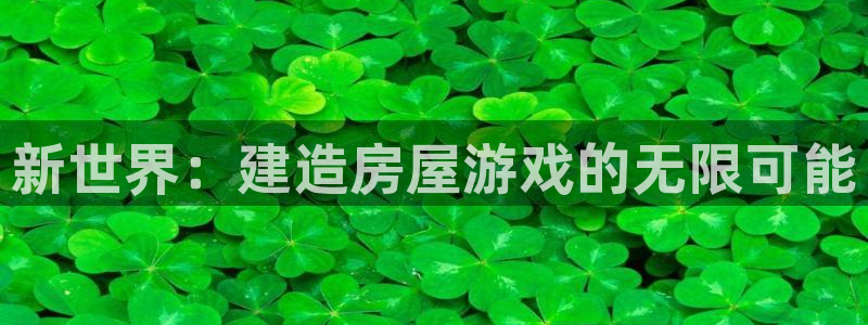 先锋娱乐官：新世界：建造房屋游戏的无限可能
