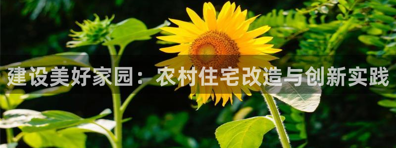 先锋娱乐理财logo：建设美好家园：农村住宅改造与创新实践