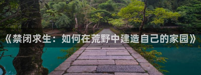 先锋娱乐币：《禁闭求生：如何在荒野中建造自己的家园》