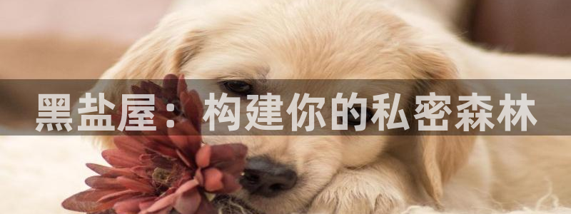 先锋娱乐传媒