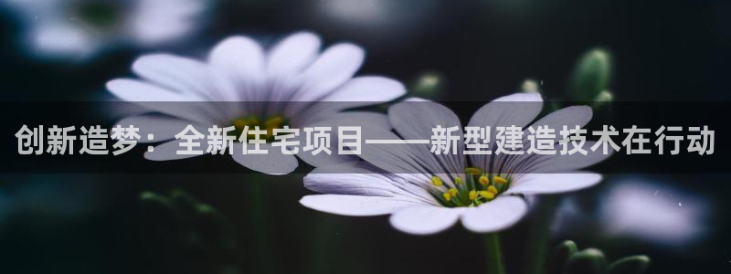 先锋娱乐系统：创新造梦：全新住宅项目——新型建造技术在行动