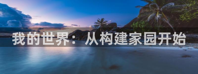 先锋娱乐大厅透视：我的世界：从构建家园开始