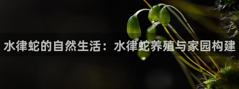 先锋娱乐系统：水律蛇的自然生活：水律蛇养殖与家园构建