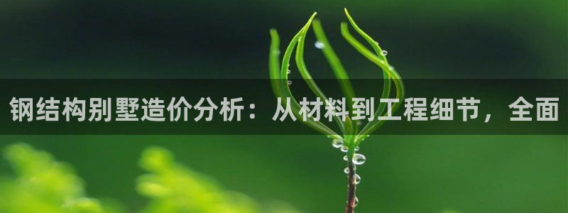 先锋娱乐垫付金额：钢结构别墅造价分析：从材料到工程细节，全面