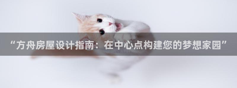 先锋互动娱乐：“方舟房屋设计指南：在中心点构建您的梦想家园”
