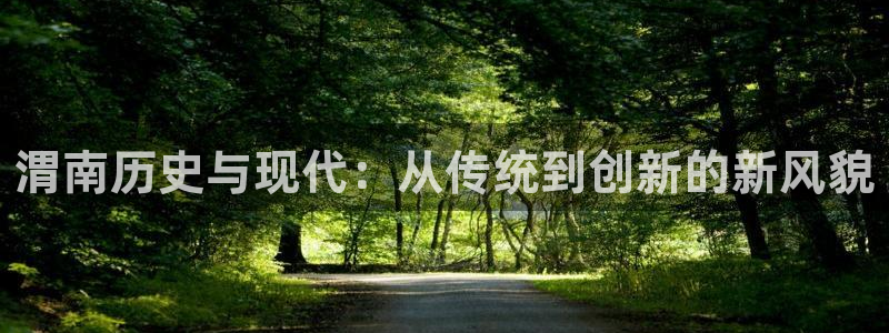 怎么下载先锋娱乐大厅：渭南历史与现代：从传统到创新的新风貌