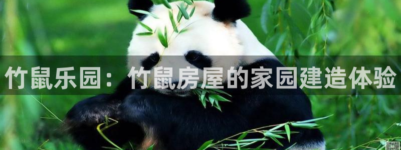 先锋娱乐社：竹鼠乐园：竹鼠房屋的家园建造体验