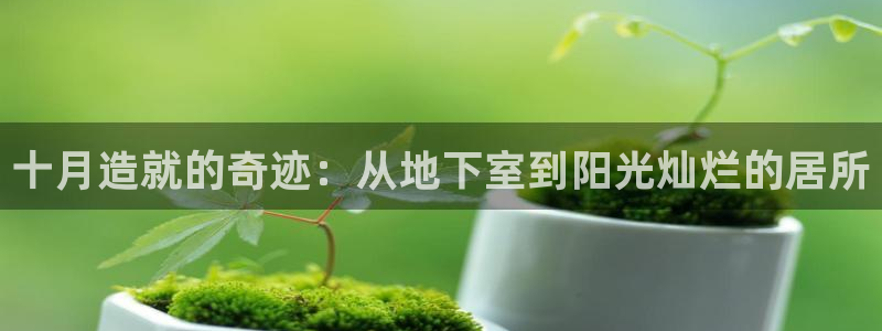 先锋娱乐登录：十月造就的奇迹：从地下室到阳光灿烂的居所