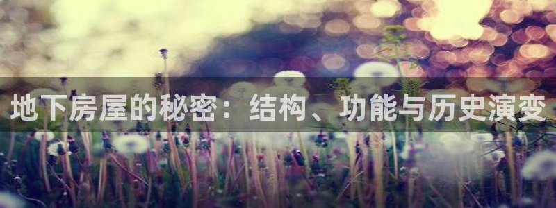 先锋娱乐游戏软件：地下房屋的秘密：结构、功能与历史演变