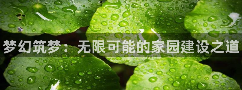 先锋娱乐：梦幻筑梦：无限可能的家园建设之道