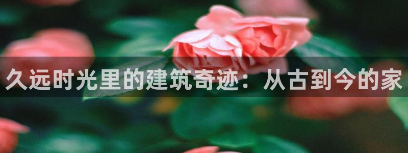 先锋娱乐邀请码多少：久远时光里的建筑奇迹：从古到今的家