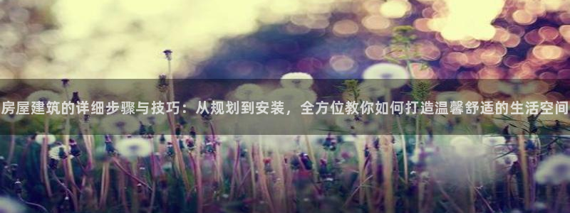 先锋娱乐系统：房屋建筑的详细步骤与技巧：从规划到安装，全方位教你如何打造温馨舒适的生活空间