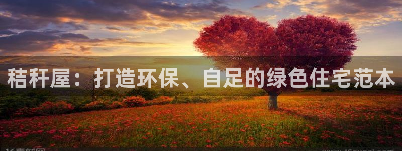 先锋娱乐网：秸秆屋：打造环保、自足的绿色住宅范本