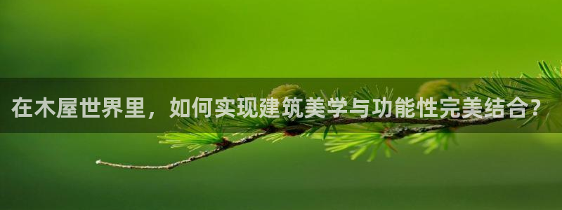 先锋电玩娱乐：在木屋世界里，如何实现建筑美学与功能性完美结合？