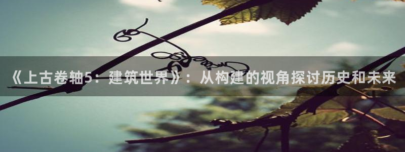先锋游戏娱乐：《上古卷轴5：建筑世界》：从构建的视角探讨历史和未来