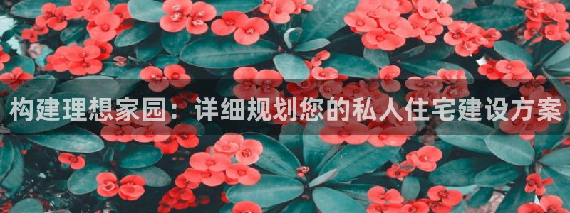先锋娱乐棋牌有挂吗：构建理想家园：详细规划您的私人住宅建设方案