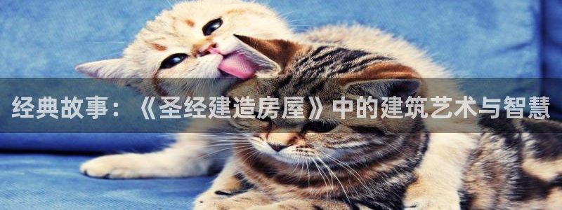 先锋娱乐科技：经典故事：《圣经建造房屋》中的建筑艺术与智慧