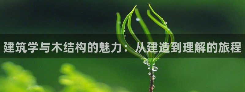 先锋娱乐资讯官网入口：建筑学与木结构的魅力：从建造到理解的旅程