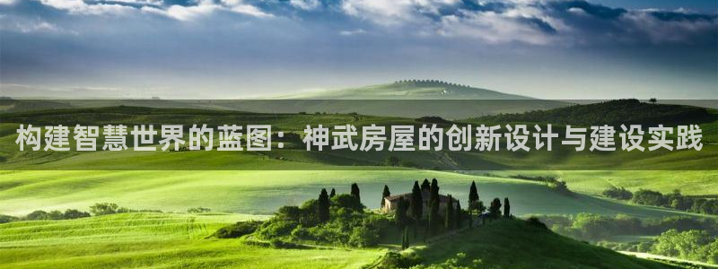 先锋娱乐简介图片：构建智慧世界的蓝图：神武房屋的创新设计与建设实践