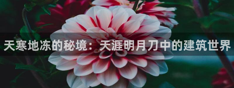 娱乐急先锋李诞甄子丹：天寒地冻的秘境：天涯明月刀中的建筑世界