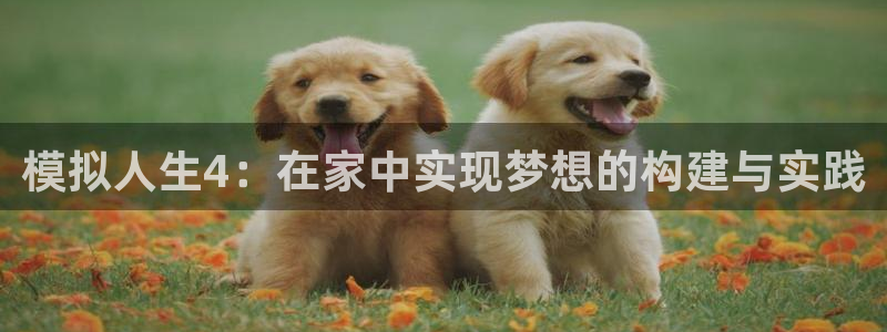 先锋娱乐游戏上分地址：模拟人生4：在家中实现梦想的构建与实践