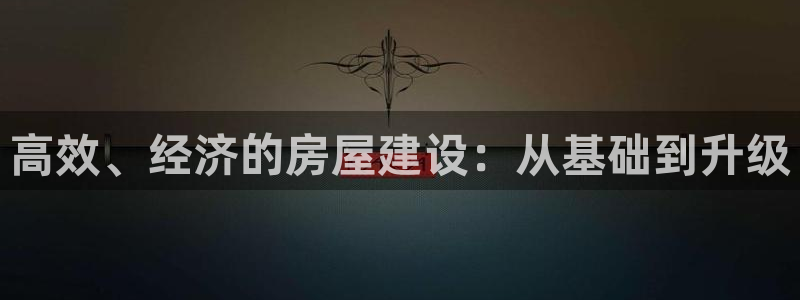 先锋互动娱乐：高效、经济的房屋建设：从基础到升级
