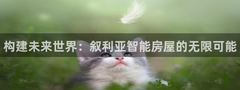 先锋娱乐电子游戏：构建未来世界：叙利亚智能房屋的无限可能