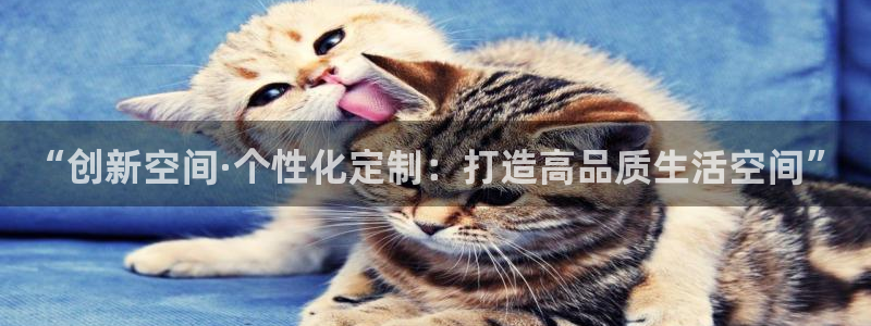 先锋娱乐游戏大厅下载：“创新空间·个性化定制：打造高品质生活空间”