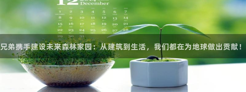 先锋银河娱乐：兄弟携手建设未来森林家园：从建筑到生活，我们都在为地球做出贡献！