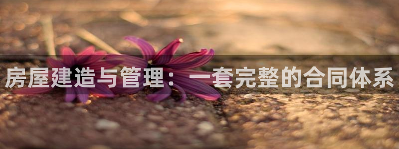 先锋娱乐快讯：房屋建造与管理：一套完整的合同体系