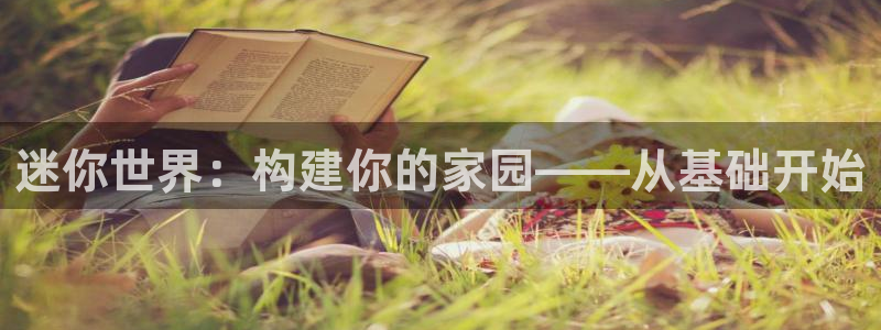 先锋队娱乐：迷你世界：构建你的家园——从基础开始