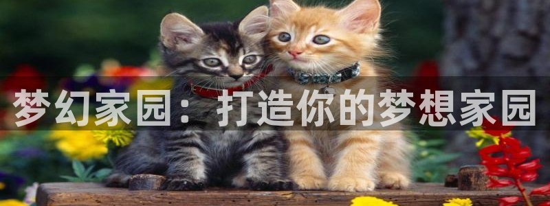 先锋娱乐软件：梦幻家园：打造你的梦想家园