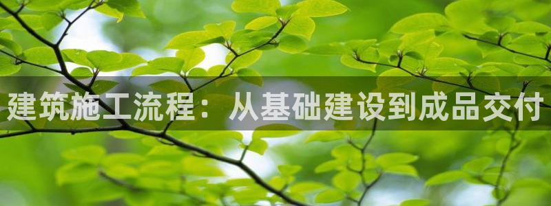 先锋娱乐挂：建筑施工流程：从基础建设到成品交付