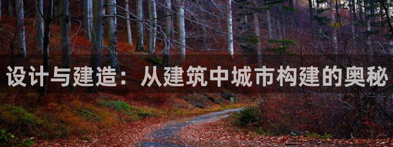 亚洲先锋娱乐招股：设计与建造：从建筑中城市构建的奥秘