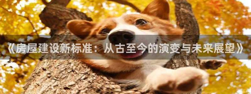 先锋娱乐邀请码多少：《房屋建设新标准：从古至今的演变与未来展望》