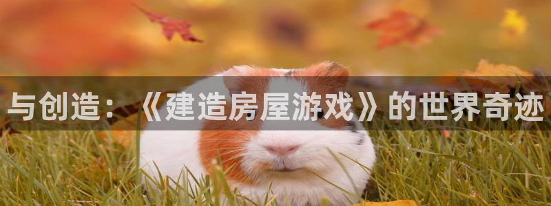 娱乐急先锋全集下载：与创造：《建造房屋游戏》的世界奇迹