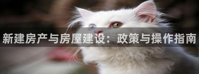 先锋娱乐大厅平台：新建房产与房屋建设：政策与操作指南