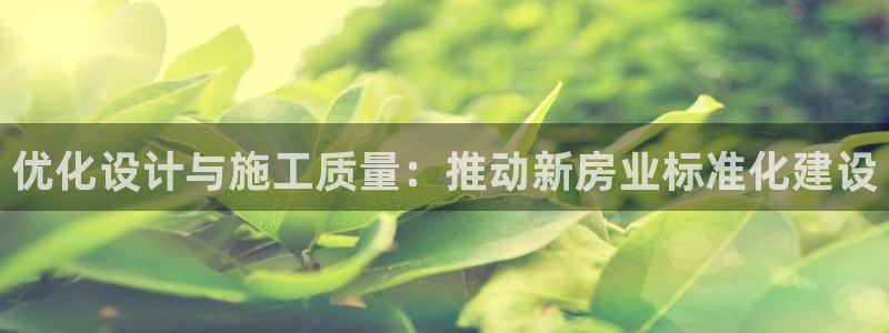 先锋娱乐赛：优化设计与施工质量：推动新房业标准化建设