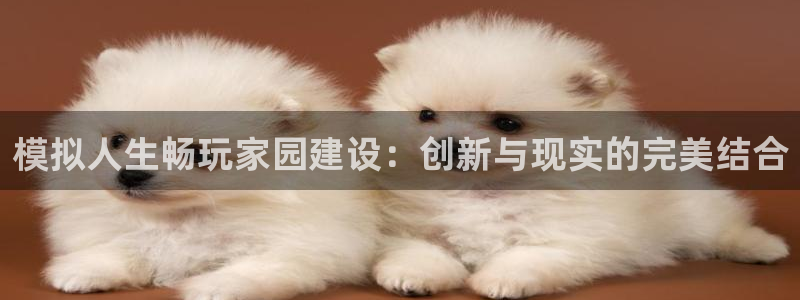 先锋娱乐游戏软件：模拟人生畅玩家园建设：创新与现实的完美结合