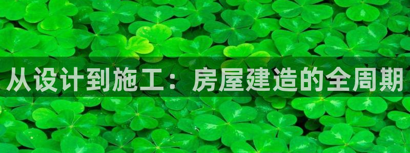 时代先锋娱乐：从设计到施工：房屋建造的全周期