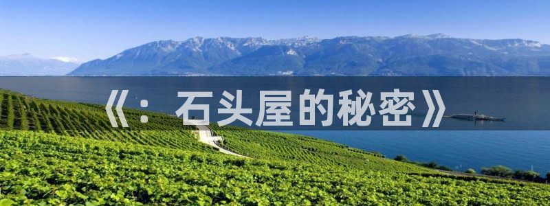 先锋互动娱乐：《：石头屋的秘密》
